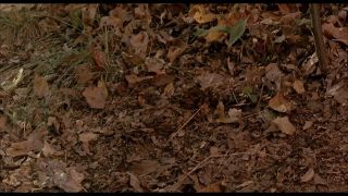 Stacie Lambert and Kashina Kessler in Sleepaway Camp III Del-9