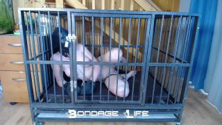 Cage Time With Clamps - 09.27.21 Download New Porn Video ...-7