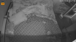 Webcam 807 Russia Novosibirsk uqOwdTwUs-9
