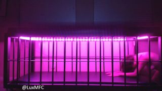 Lux Neon - Bratty slave begs and seduces for freedom - (Femdom porn)-0