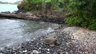 Lola Fae Takes Hawa to New Heights - Must See Hot Scene!-2