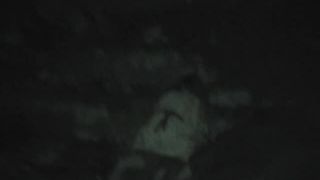 clip 33 Night Watching 116 on webcam -1