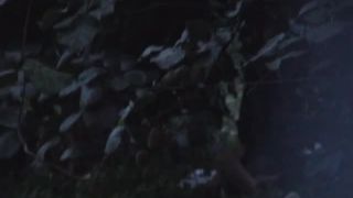 clip 33 Night Watching 116 on webcam -8