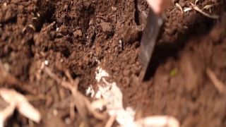 [SuperMisses.com] THZ-94 Super Heroine in Grave Danger!! Vol.94 -Ryuujin Violet-000-4