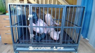 xxx clip 40 rubber fetish fetish porn | Cage Time With Clamps | cage-5