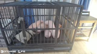 porn video 24 Bondage Life – Cage Time With Greyhound – Rachel Greyhound - fetish - bdsm porn feet fetish sites-6