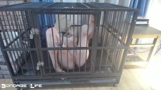 porn video 24 Bondage Life – Cage Time With Greyhound – Rachel Greyhound - fetish - bdsm porn feet fetish sites-7