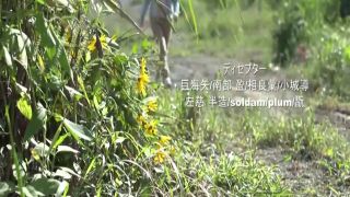 [SuperMisses.com] GIGP-30 Wakuseiber -SEASON 2-024-4