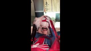 xxx video clip 17 happy femdom femdom porn | Reneesrealm Has Sex With Spider Man 1 - [Onlyfans] - 2025 (HD 720p) | anal-3