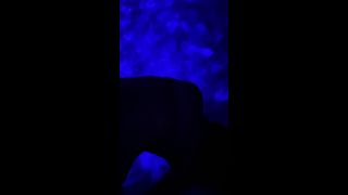 Kat - katfilms () Katfilms - sfw i was dancing in my living room last night and filmed this and then decided to try 02-04-2021-9