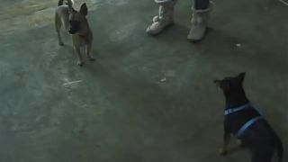 may kendriv sex video bdsm bdsm porn films porn overwatch bdsm bdsm porn | Lipstick Lingerie & Lesbians | toys - extras - latina bdsm horse, lesbian on bdsm porn | brunette | bdsm porn porno bdsm spanked, cindy crawford on threesome | ashton moore | brunette bdsm vacuum-3