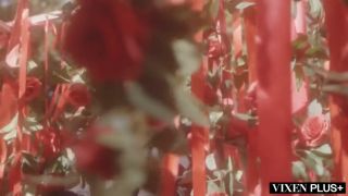 Anal VIXENPLUS Petite Compilation-7