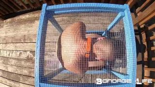 porn clip 11 Bondage Life – Tiny Cage Rachel Greyhound, ultimate fetish on fetish porn -7