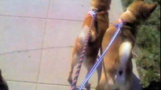 ClothesFree show178ehi (mp4)-1