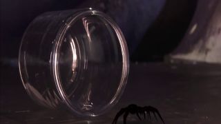 [WarAnLov.com] ZEPE-14 Heroine Consecutive Pinch-010-5