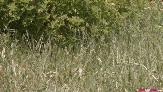 porn video 40 femdom 69 fetish porn | Eva, Juniper, Juno, Luci, Pixie - Out Bush pt. 1 (FullHD) | girlsoutwest-1