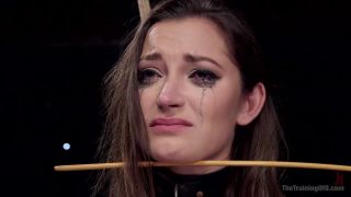 adult video clip 37 Cane Training Dani Daniels Day Three Dani Daniels on anal porn sex doll anal-3