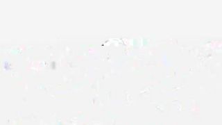 TS Webcam Collection5390121-3
