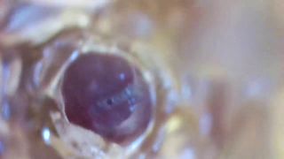 7185 Trans Girl Webcam Extreme Closeups, Camera in Fleshlight...-6