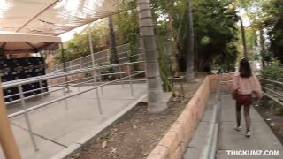 Aria Lee Thickumz.19.04.03.Aria.Lee.An.Extra.Thick.Thrill.Ride -2