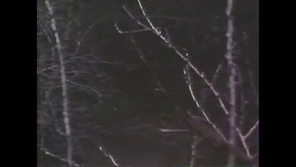 California Heat (1978) - (Vintage)