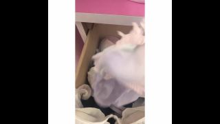 video 15  - voyeur - voyeur-3