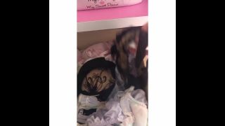 video 15  - voyeur - voyeur-4