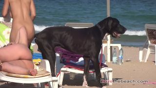 free adult video 41 Beach Voyeur HD | beach voyeur hd | voyeur -7