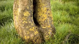 Gwenllian Higginson, Olivia Jewson – Crying Wolf (2015) HD 720p!!!-5