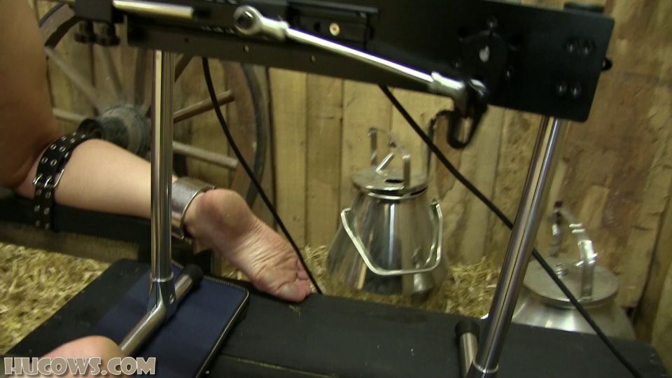online xxx clip 7 Ariel red cow milker and fucking machine [Full HD 1.01 GB], femdom mania on fetish porn 
