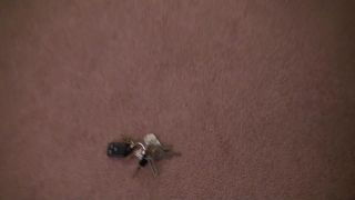 fetish fetish  GirlsGoneHypnotized – Hypno Glasses 6 – Rebecca -2