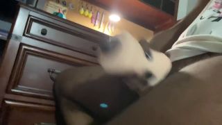 KertRatsOfficial - HoneyPlayBox Toy Demo #01-5