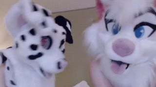 TiggerRosey () Tiggerrosey - no sound video with dawn willow anal kissing furries 12-02-2020-6