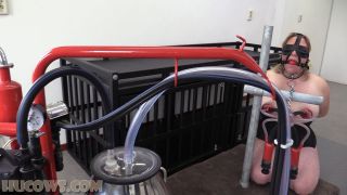 HuCow - red cow milker Quick View Porn - New Sex Videos O...-8