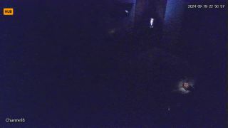 Voyeur 523 Guatemala Guatemala City ES0nrMRUq-9