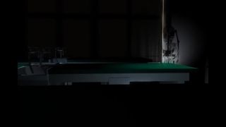 Game of Lascivity OMEGA  -Vampire vs. KungFu Girl-.-6