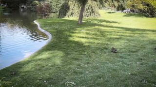 [K2S.CLUB] Hello Limoon - Beautiful French Girl Submits Herself To A Naughty Tour Guide - FullHD 1080P-1