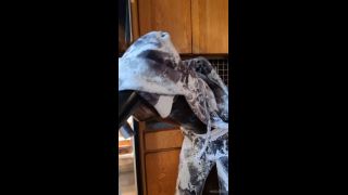 mdollbot 2025-10-01 Ok but back to me just wanting to chill out with ya in hon   5vyfpp-4