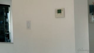 Celebrity Scandal (Celebrity porn) Reena Sky, Chanel Preston-1