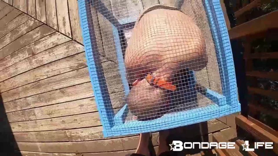 online porn clip 32 Bondage Life – Tiny Cage Rachel Greyhound - rachel greyhound - bdsm porn femdom forced sex