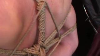 Restriktionen Alex D EVS Alex D Quick View Porn - New Se...-5