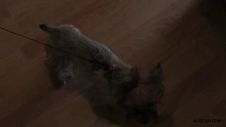 Video Sabrina, Defrancesca Gallardo, Julia Rafaelle, Viky Day, Paol...-8