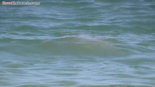 porn clip 8 Camera Beach 733 - nude beaches - webcam -3