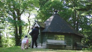The Windsor Dog Show (Bareback).-1