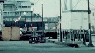 Explore The Life of Nighttime Charm Secrets Revealed-0