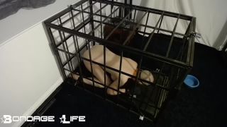 adult video 31 BondageLife – Cage Time With Greyhound (Owner Edition) - bdsm - fetish porn barefoot princess femdom-9