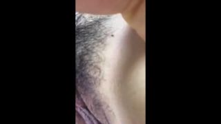 Digi-Tents Webcam 162 – 15277896!!!-1