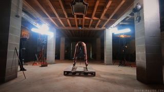 adult clip 17 Brutal Master - Dog - Bitch Caning on bdsm porn midget bdsm-8