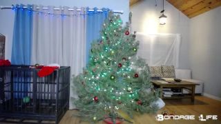 online video 40 Bondage Life – Christmas With Greyhound on bdsm porn femdom sissy chastity-8