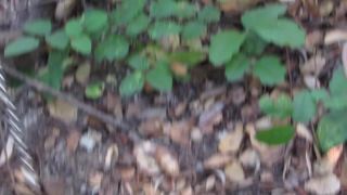 free video 22 HUGE 1st Cream Pie With Kippy The Caline – Emma Choice, party hardcore porn on blonde porn -1